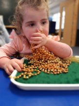 Figure 2 - Child is sitting at a table exploring a string of beads on a tray with her hands